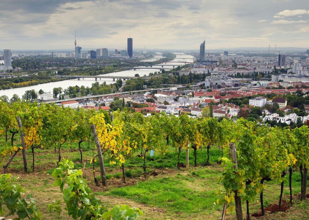 Weinreise Österreich, 21. bis 24. Juni 2023 Weinreise Österreich, 21. bis 24. Juni 2023