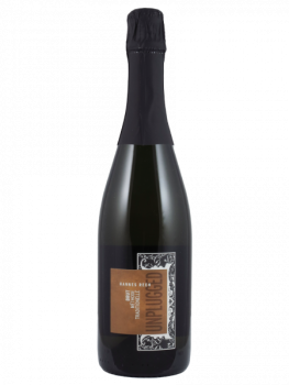 Unplugged Brut | Reeh Hannes
