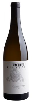 Alte Reben in Weiss | Wachter Wiesler Weingut